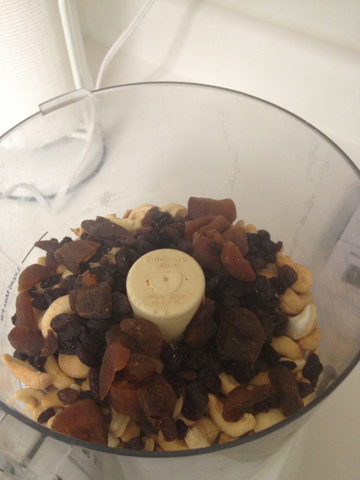 5Ingredient Paleo FruitNut Coconut Rolls